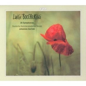 Download track 01. Symphony Op. 12 No. 1 (G 503) In D Major - Grave - Allegro Assai Luigi Rodolfo Boccherini