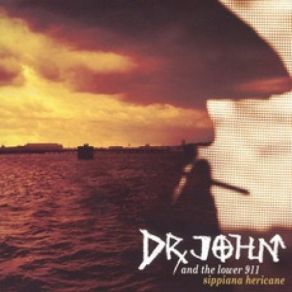 Download track Wade: Hurricane Suite, Part 4: Aftermath Dr. JohnDr. John & The Lower 911