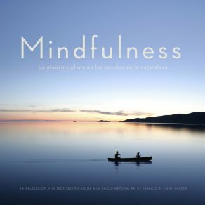 Download track Pequeñas Olas Relax En Una Playa De Arena The Mindfulness Research Project