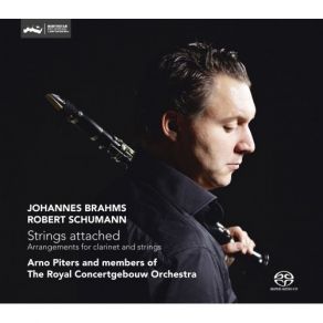 Download track 02 - Clarinet Sonata No. 1 In F Minor, Op. 120.1- II. Andante Un Poco Adagio Royal Concertgebouw Orchestra, Arno Piters