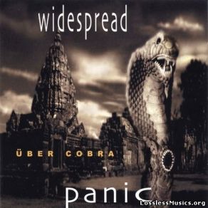 Download track Can't Find My Way Home Widespread Panic