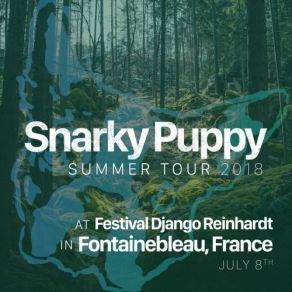 Download track Quarter Master Snarky Puppy