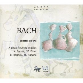 Download track 9. Carl Philipp Emanuel Bach - Sonate En Mi Mineur Wq. 162 - H. 580: Adagio Di Molto A Deux Fleustes Esgales