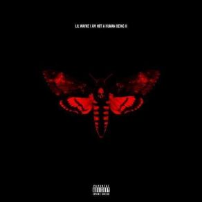 Download track No Worries Lil WayneDetail