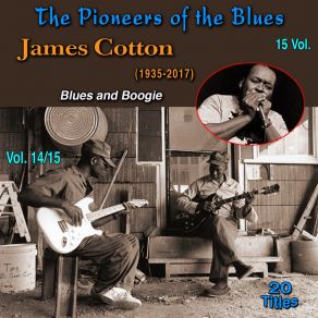 Download track There Is Something On Your Mind James Cotton