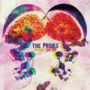 Download track She's Coming Down Again The Posies
