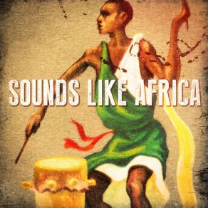 Download track Afrobeat African Tribal Orchestra