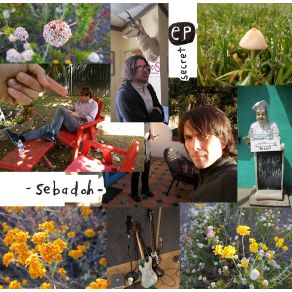 Download track Arbitrary High Sebadoh