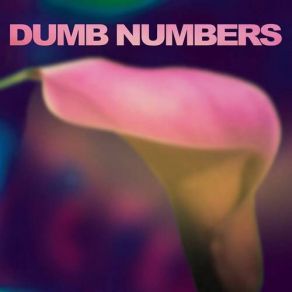 Download track Last Night I Had A Dream Dumb Numbers