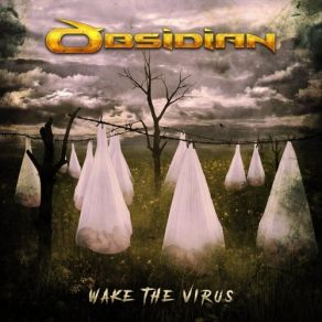 Download track Face In The Sun Obsidian