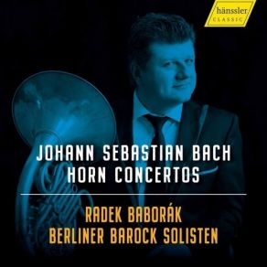 Download track 05. Bach Oboe Concerto In D Minor, BWV 1059R (Arr. For Horn & Orchestra) II. Adagio Johann Sebastian Bach