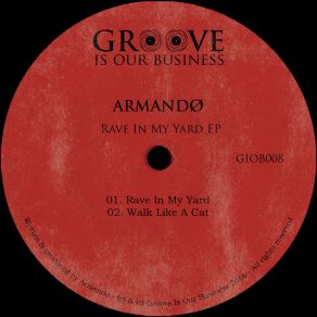 Download track Rave In My Yard (Original Mix) Armando