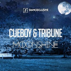 Download track Moonshine (Extended Mix) Cueboy & Tribune