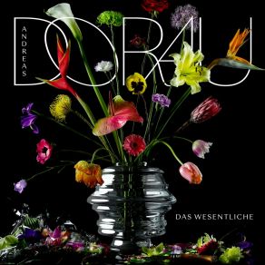 Download track Vielleicht Andreas Dorau