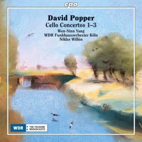 Download track 6. Cello Concerto No. 2 In E Minor Op. 24 - III. Allegro Molto Moderato David Popper