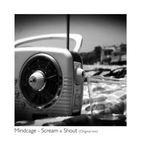 Download track Scream & Shout (Original Mix) Mindcage