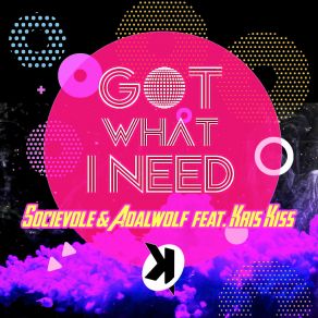 Download track Got What I Need (Extended Mix) Kris Kiss