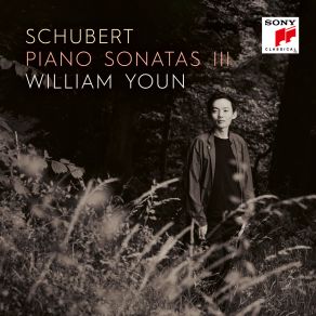 Download track Piano Sonata No. 6 In E Minor, D. 566- II. Allegretto William Youn