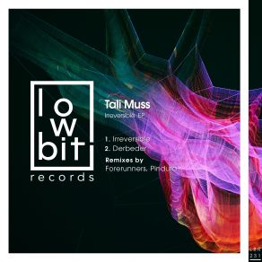 Download track Irreversible (Original Mix) Tali Muss