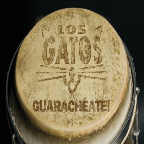 Download track Inquietacao Los Gatos