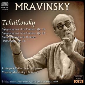 Download track 's # 4 - I. Andante Sostenuto The Leningrad Philharmonic Orchestra, Evgeni Mravinsky