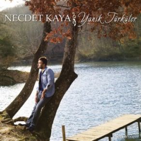 Download track Koyverdin Gittin Beni (Gelevera Deresi) Necdet Kaya