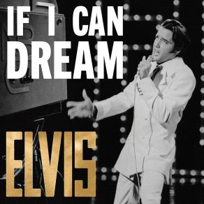 Download track You Don't Have To Say You Love Me Elvis Presley
