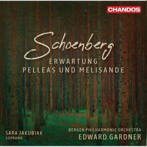 Download track 01. Pelleas Und Melisande, Op. 5 Die Ein Wenig Bewegt Schoenberg Arnold