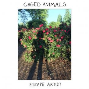 Download track Chris Metallic Caged Animals