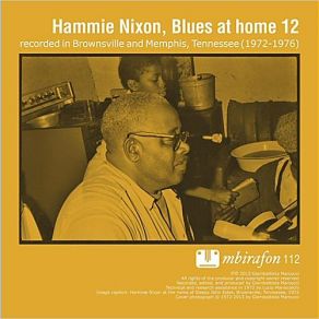 Download track Worried Life Blues Hammie NixonMemphis Piano Red