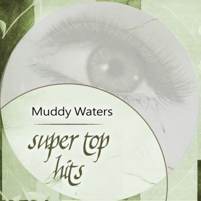 Download track Got My Mojo Working, Pt. 2 Muddy Waters