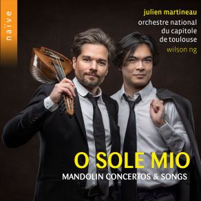 Download track Mandolin Concerto In G Major, S. 28 II. Andante Con Variazioni' Julien Martineau