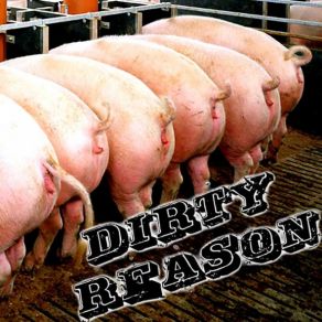 Download track Dirty Reason - Hundred Of Looks Dirty Reason