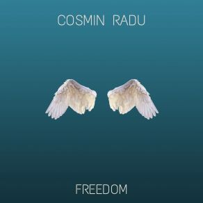 Download track You Can Do Whatever You Want Cosmin Radu