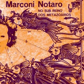 Download track Usted Se Me Llevo La Vida Marconi