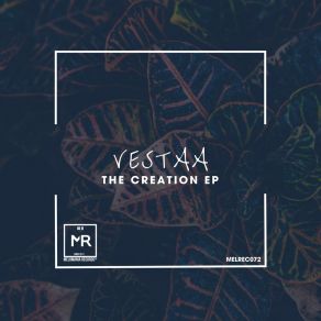 Download track The Creation Vestaa