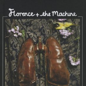 Download track Dog Days Are Over Florence And The Machine