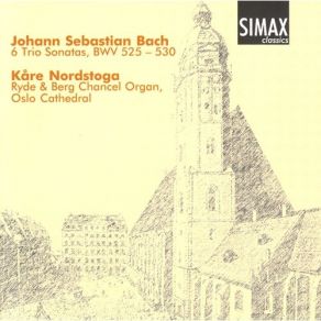 Download track Organ Sonata No. 3 In D Minor, BWV 527 - I. Andante Johann Sebastian Bach