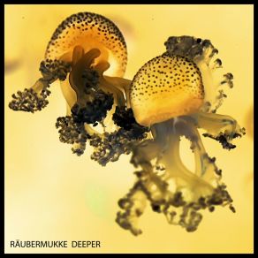 Download track Tremenda Raubermukke