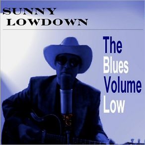 Download track Worried Life Blues Sunny Lowdown