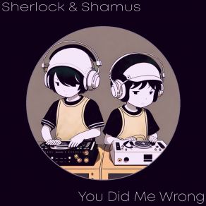 Download track You Did Me Wrong Shamus