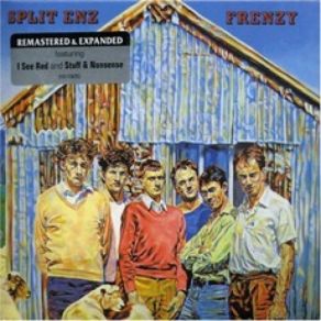 Download track Frenzy Split Enz