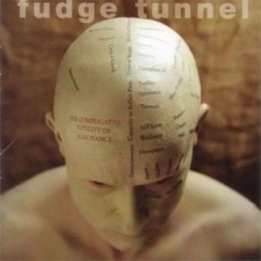 Download track Long Day Fudge Tunnel