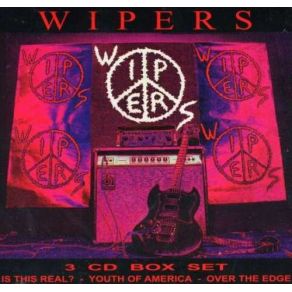 Download track Youth Of America Wipers