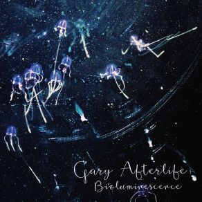Download track Bioluminescence (Original Mix) Gary Afterlife