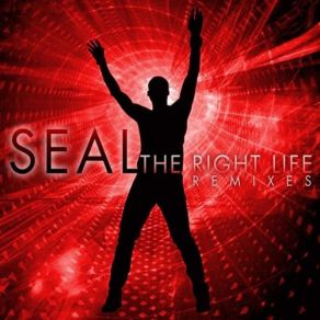 Download track The Right Life (Eddie Amador'S Backroom Stripped Mix) Seal