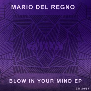 Download track No What You Want (Dub Melody Mix) Mario Del Regno
