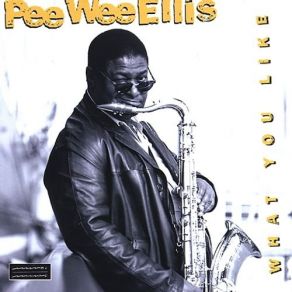 Download track Take Me To The River Pee Wee Ellis, NDR Big Band, The