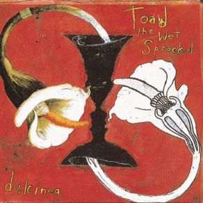 Download track Windmills Toad The Wet Sprocket