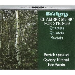 Download track 8. String Quintet No. 2 In G Major Op. 111: II. Adagio Johannes Brahms
